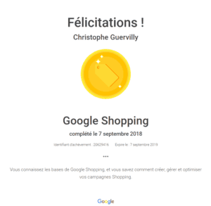 Certification Google Shopping Expert Google Shopping